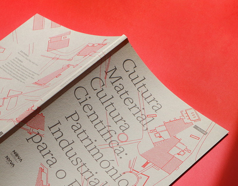 Свищев назвал допуск юниорских сборных по керлингу важным сигналом